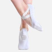 Brio Professional Stretch Canvas Ballet Shoe