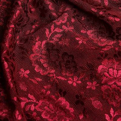 Dentelle élastique SHOW ELEMENTS | Stretch Lace EL-LAC-85