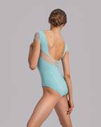 Effie Mesh Cap Sleeve Leotard