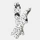 DALMATIAN PRINT DALMATIAN PRINT