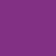 PLUM / DARK PURPLE