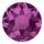 FUCHSIA FUCHSIA