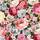 ROSES ROSES