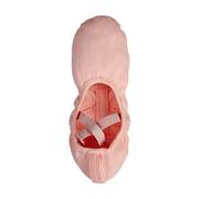 Ballet Shoes Children