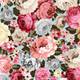ORNAMENTAL ORNAMENTAL