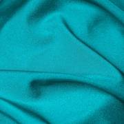 Shiny Lycra