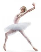 Rehearsal Tutu Skirt