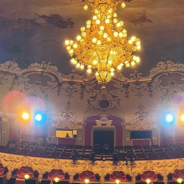 Instagram Image
